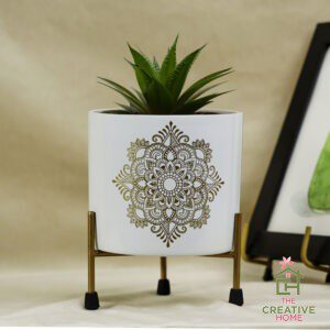 Mandrela Zen - White