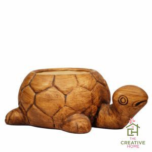 Tortoise Antique