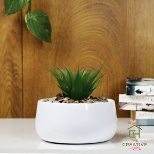 Zen Flora