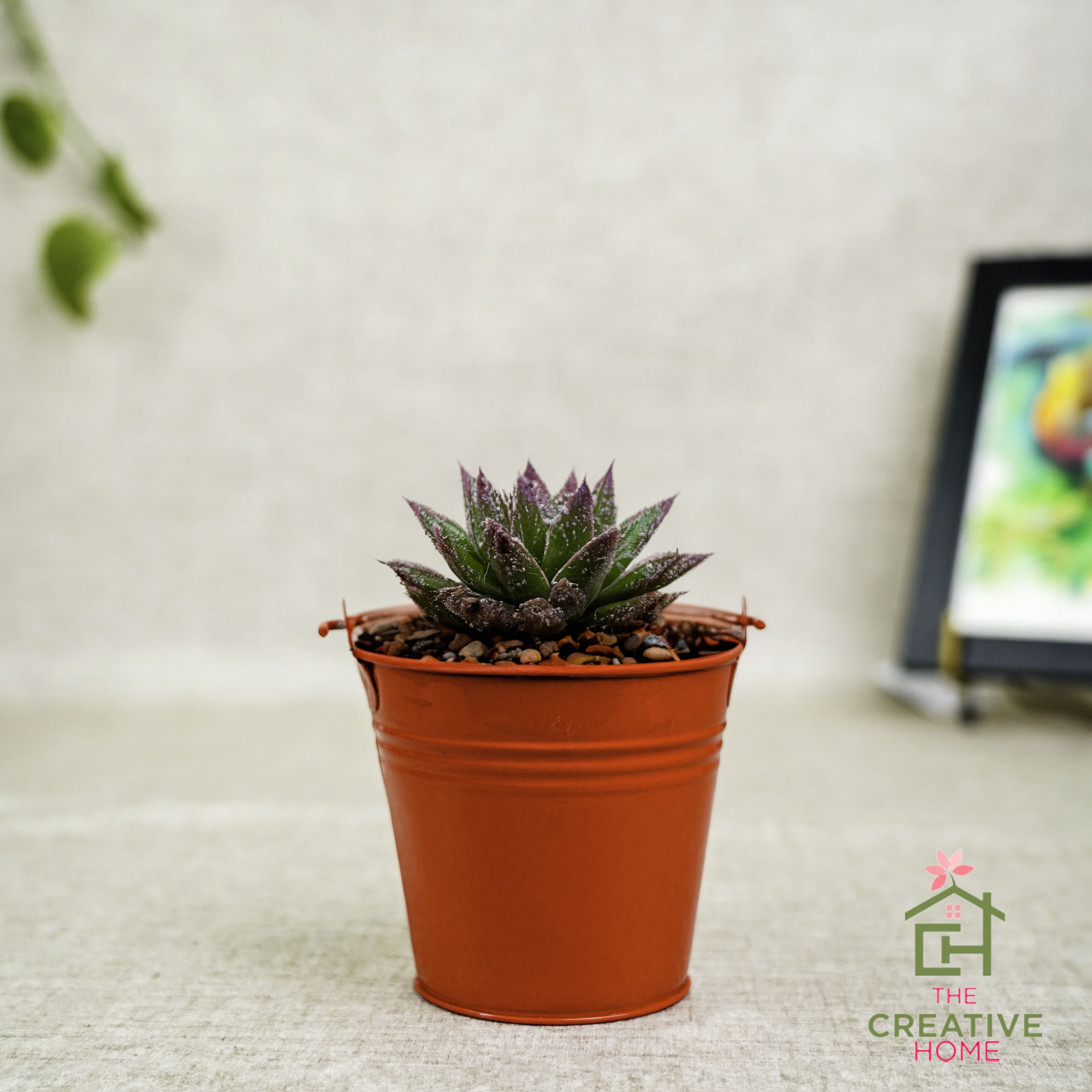 Petite Pail Bucket - Red