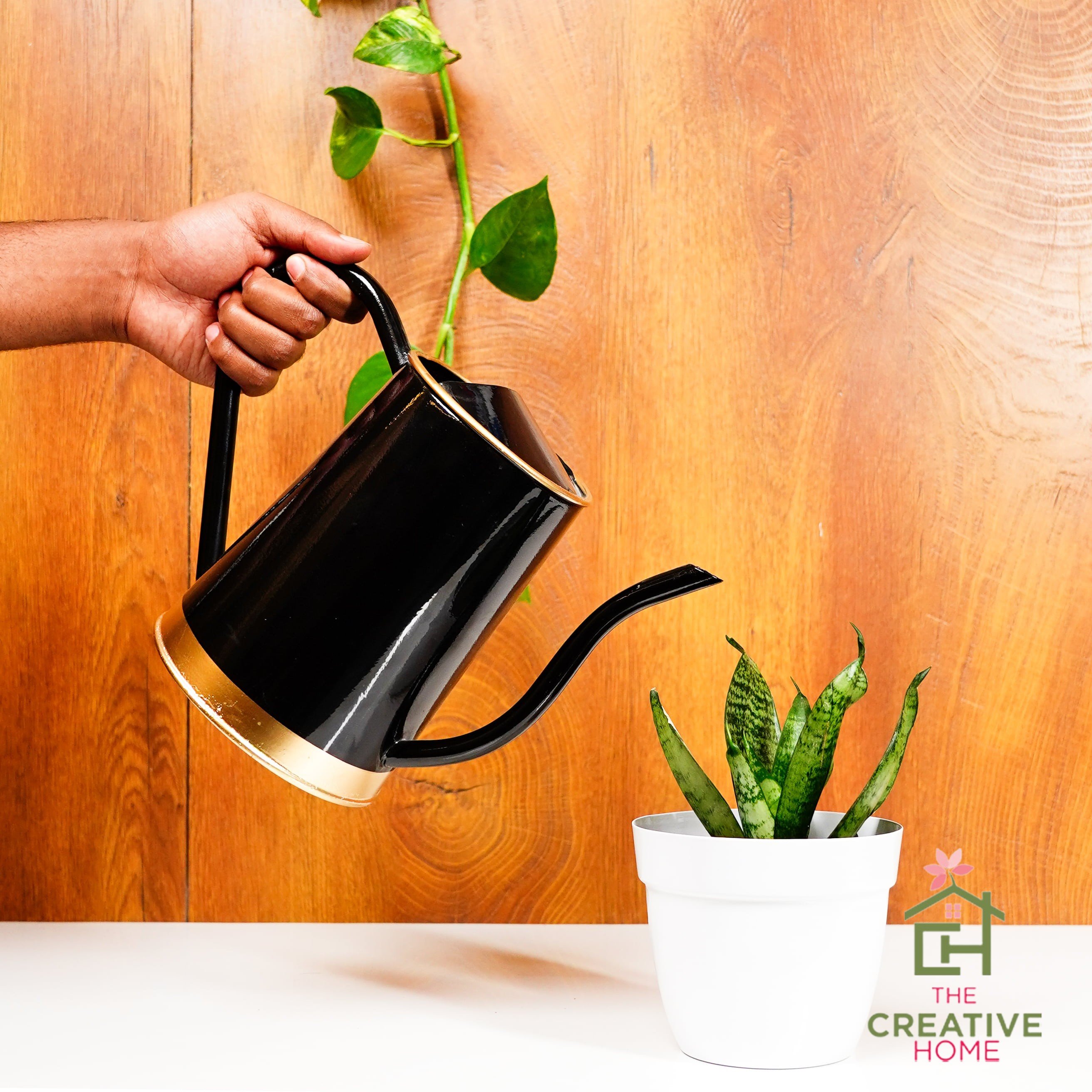 Silver Stream Watering Can - Black