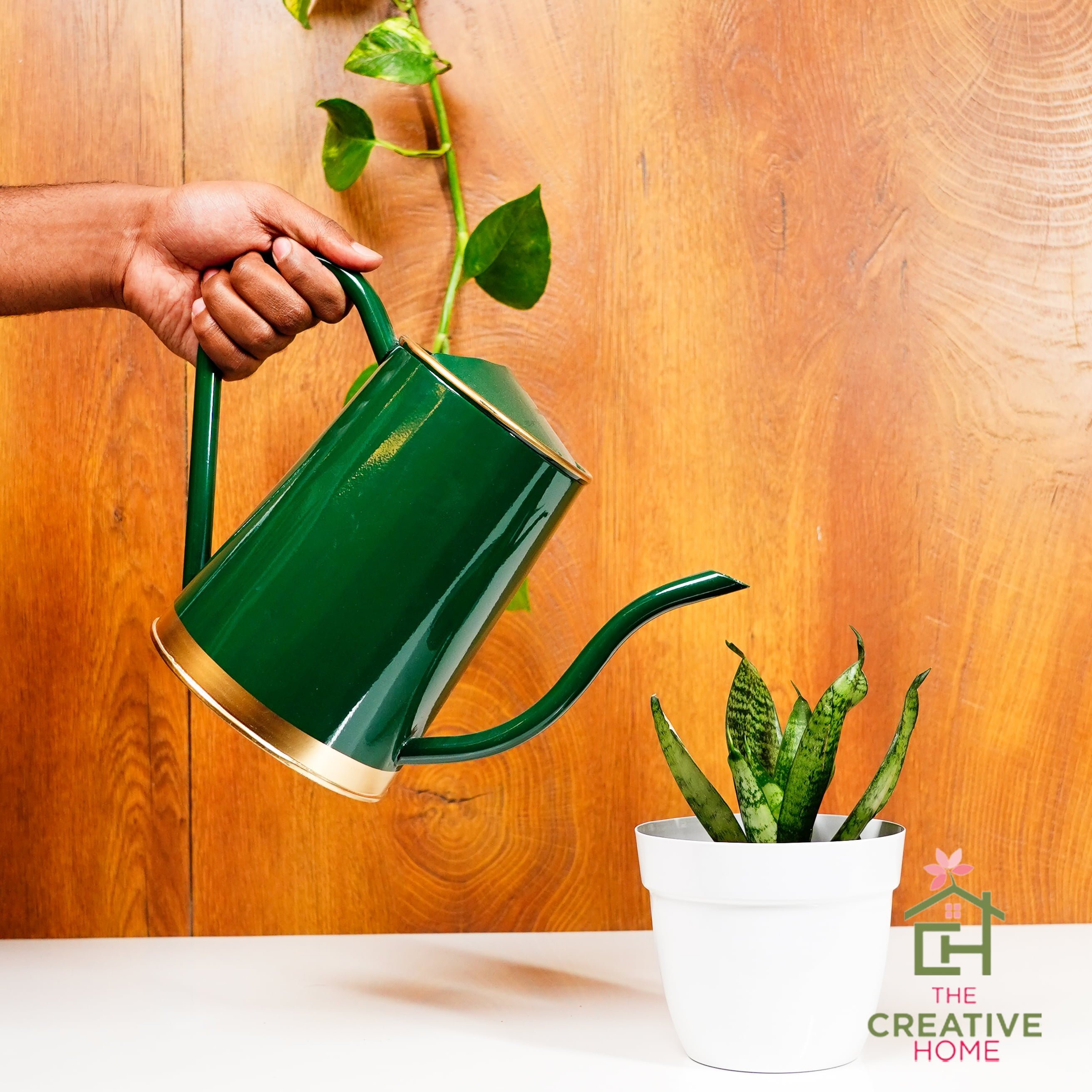 Silver Stream Watering Can - Green