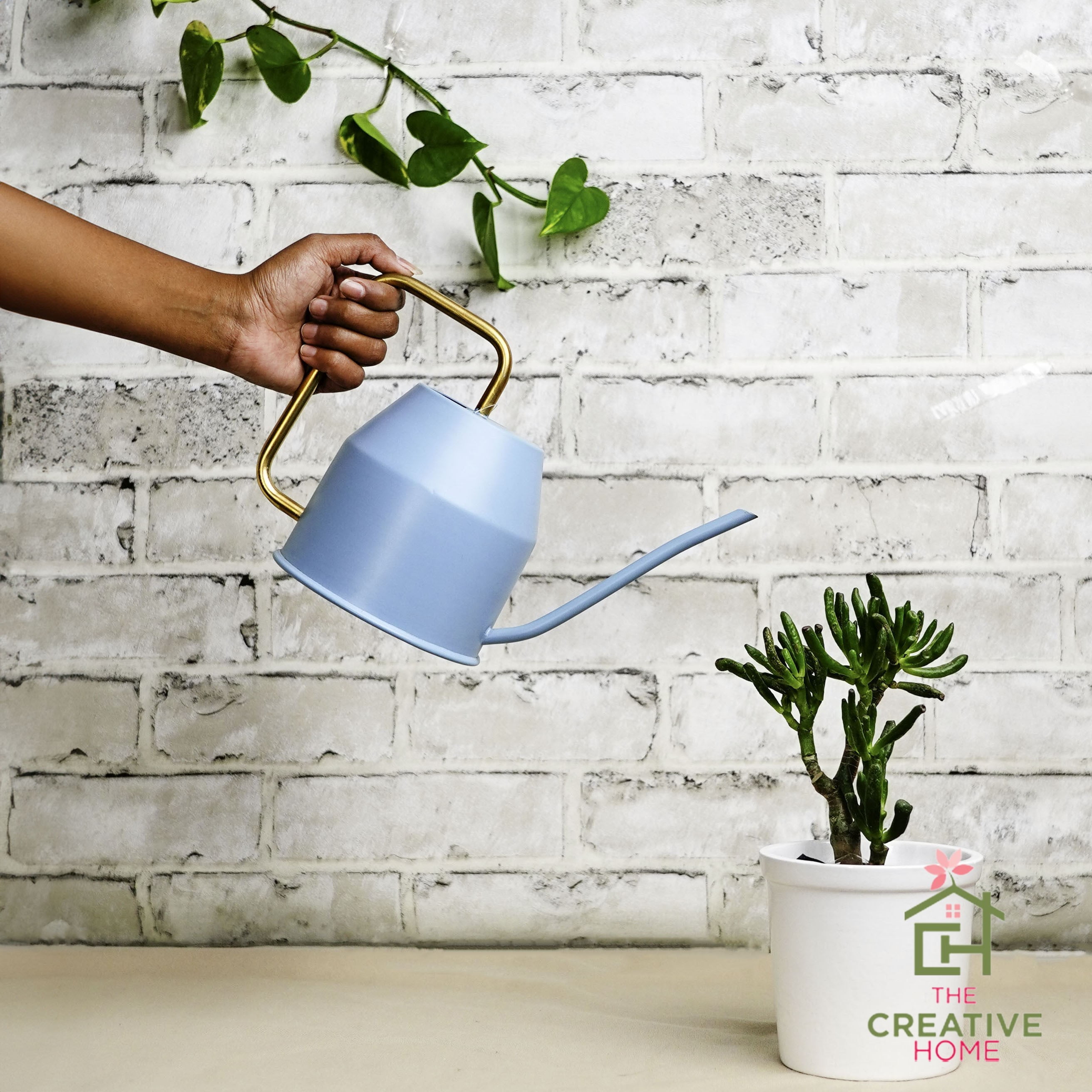 Flowing Fusion Watering can - Blue