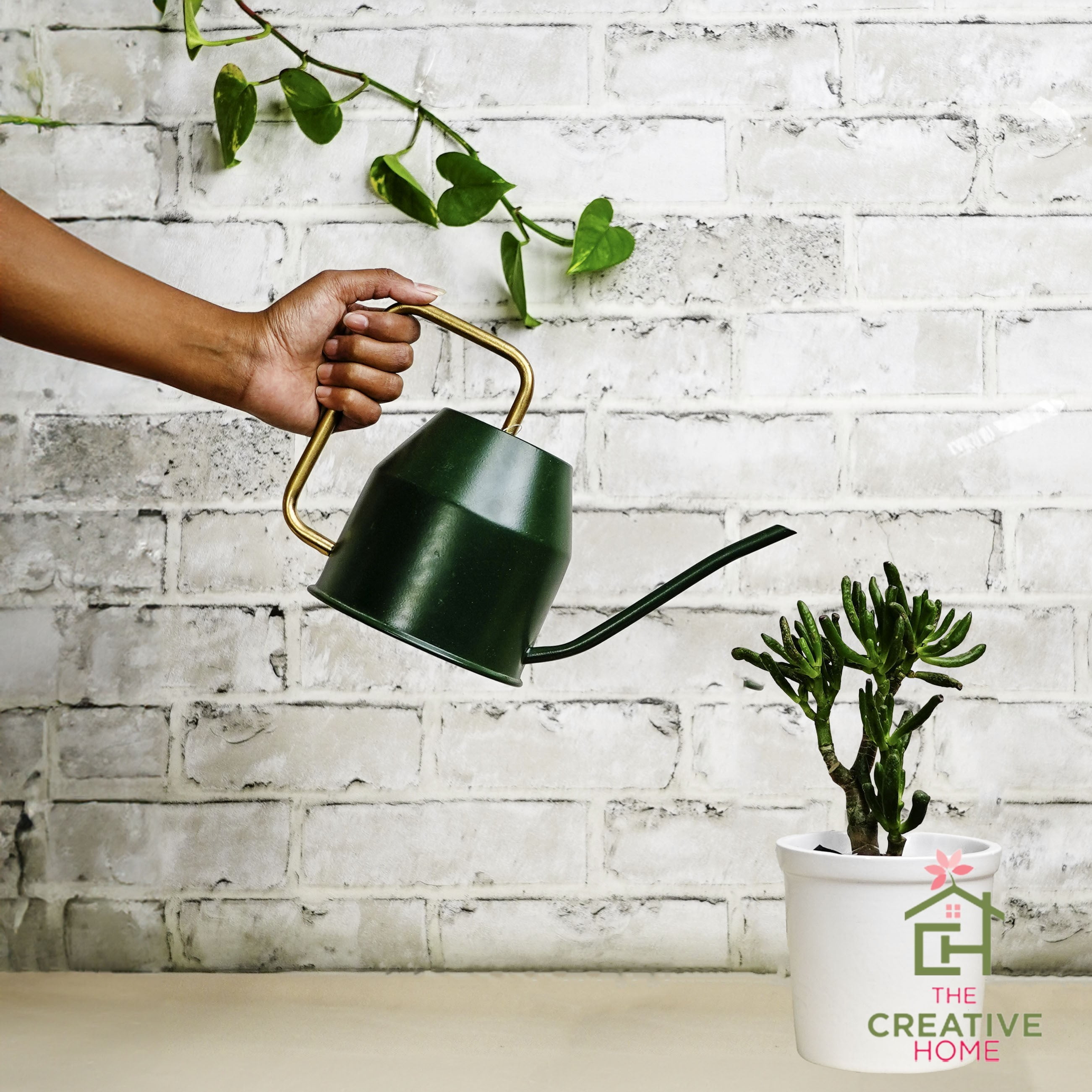Flowing Fusion Watering can - Green