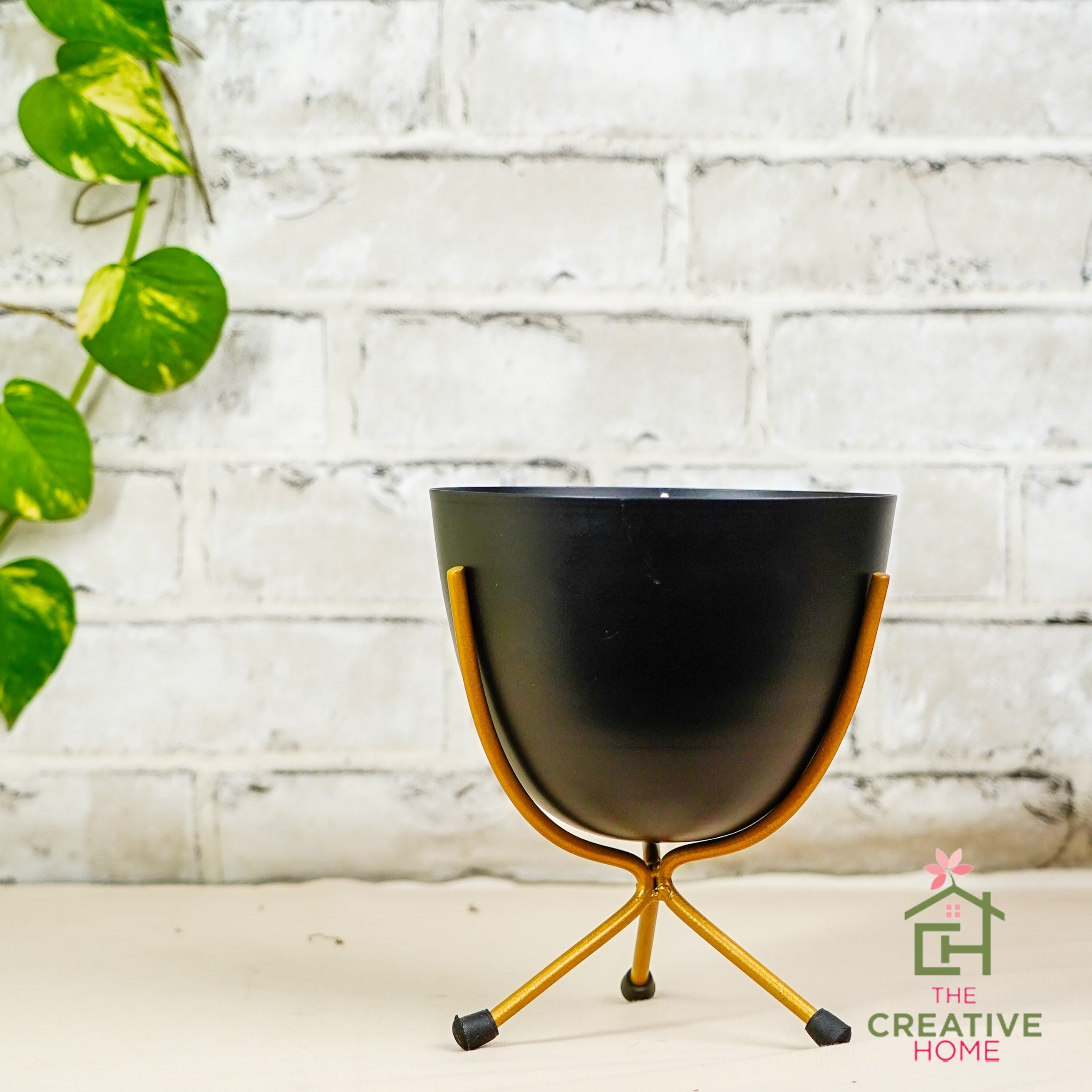 Egg clectic Planter - Black