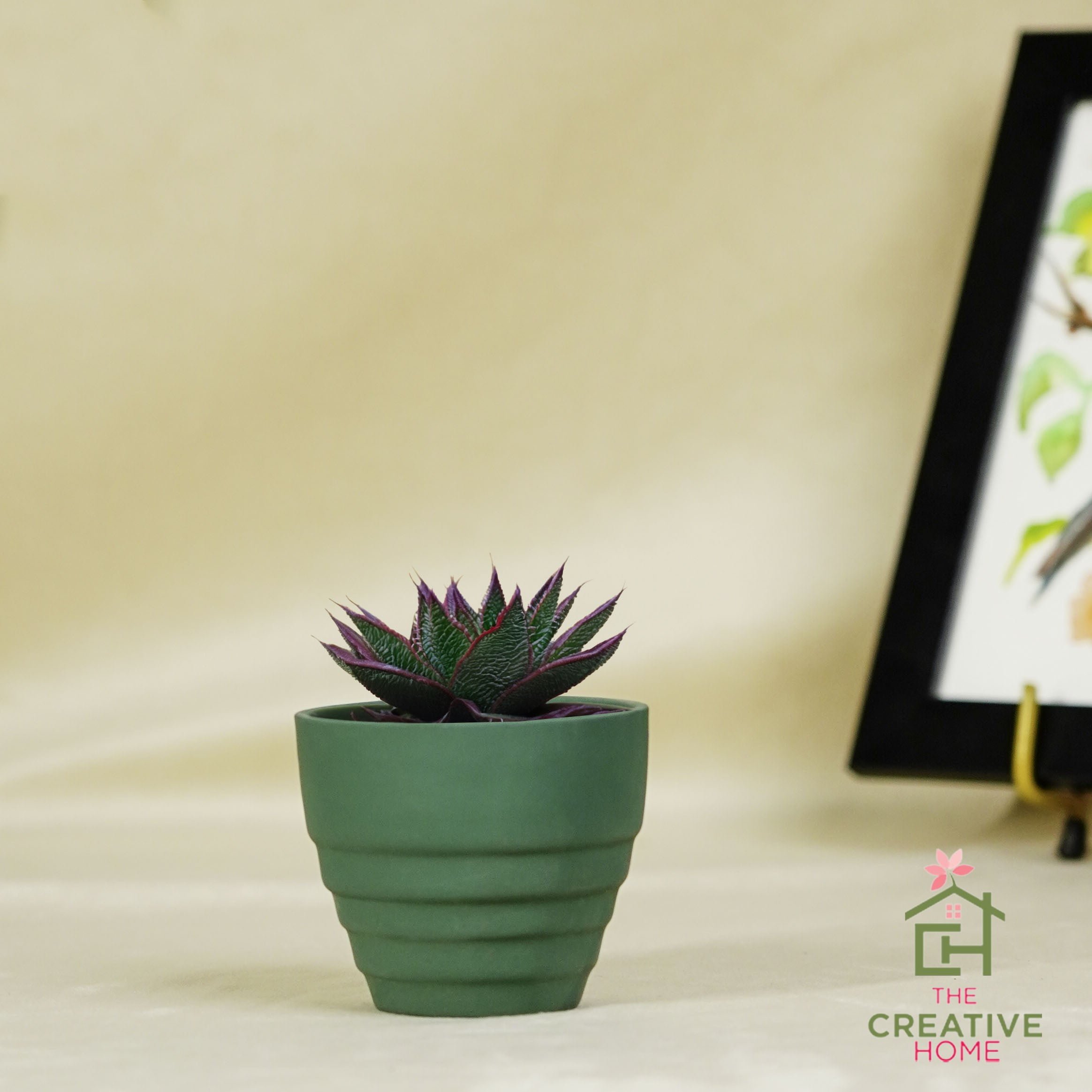 Carlos - Deep Jungle