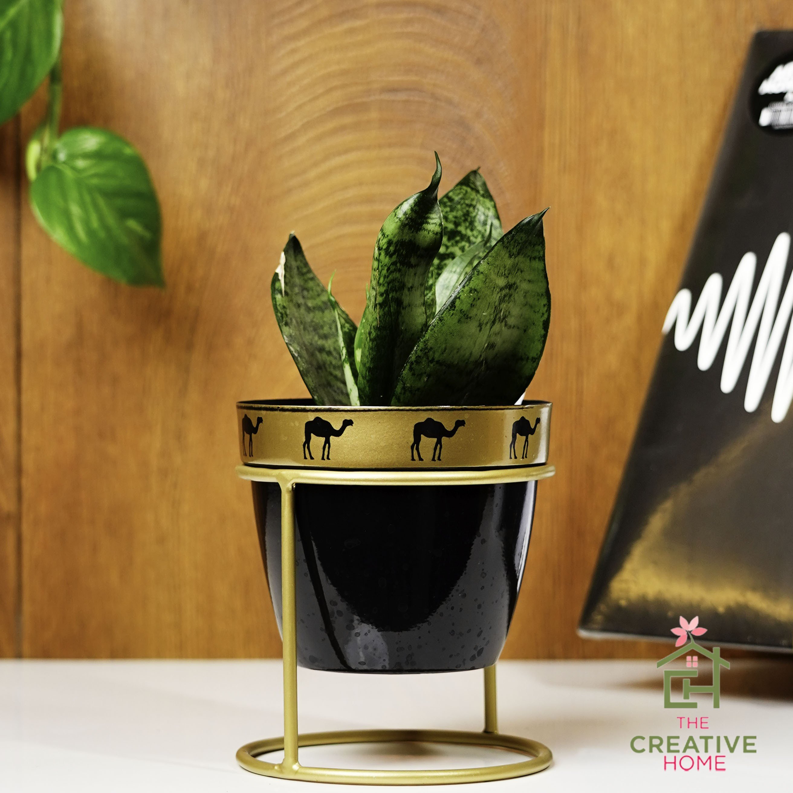 Camel Trails Planter - Black